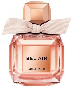 Bel Air (2019)
