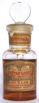 Gartennelke