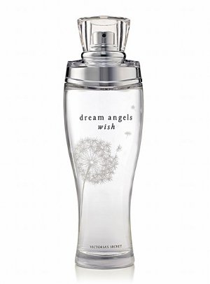 Dream Angels Wish