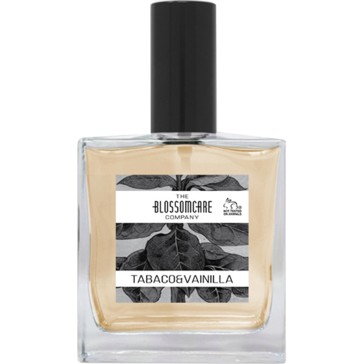 Tabaco & Vainilla