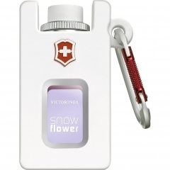 Snow Flower