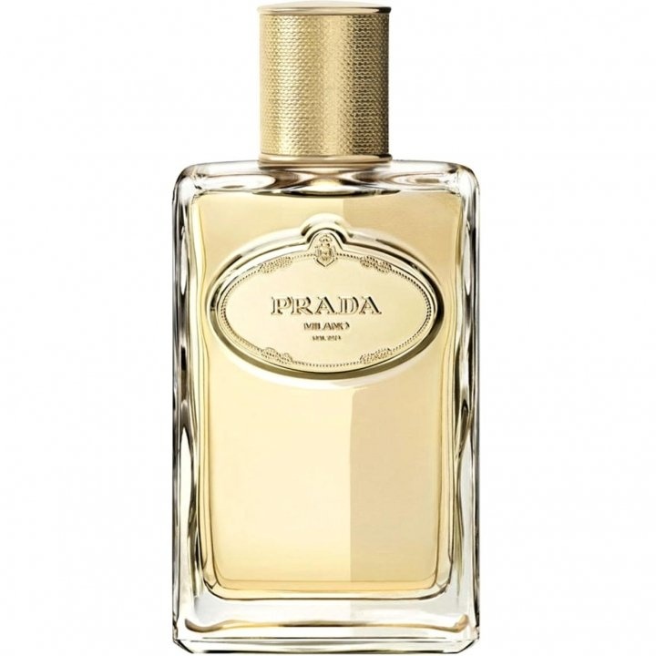 Infusion d'Iris Absolue