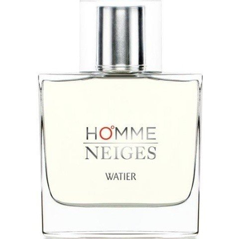 Homme Neiges / Neiges pour Homme (Eau de Toilette)