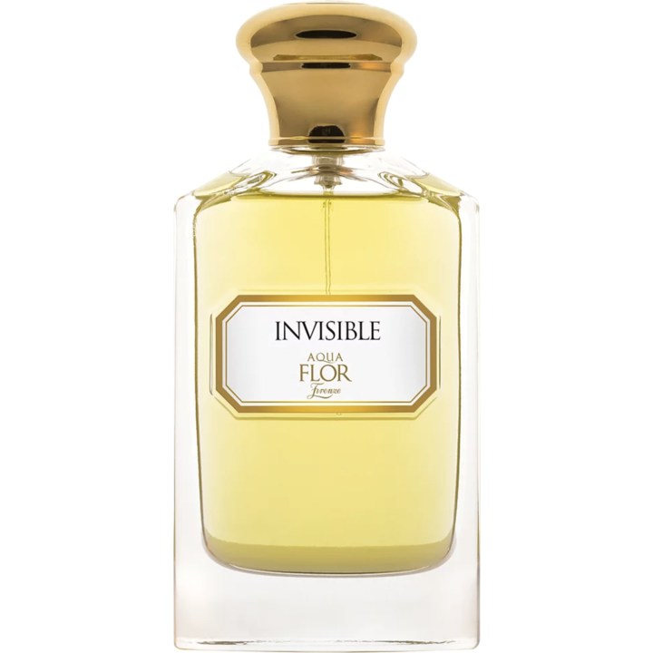Invisible