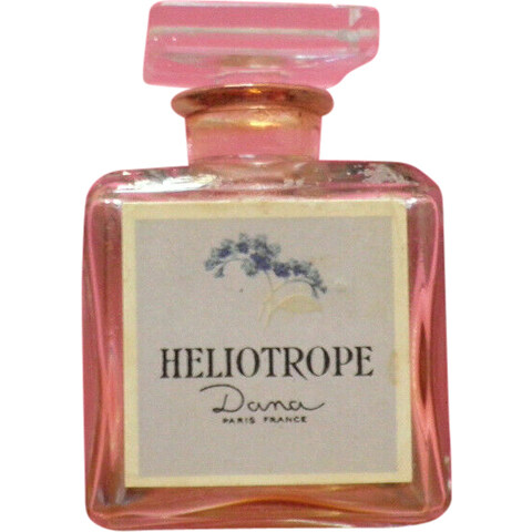 Heliotrope
