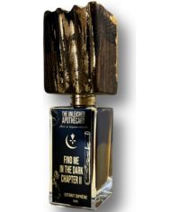 Find Me in the Dark Chapter II