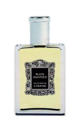 Black Dianthus