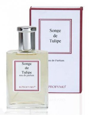 Songe de Tulipe