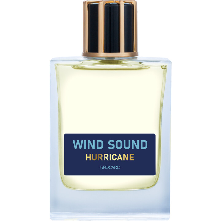 Wind Sound: Hurricane