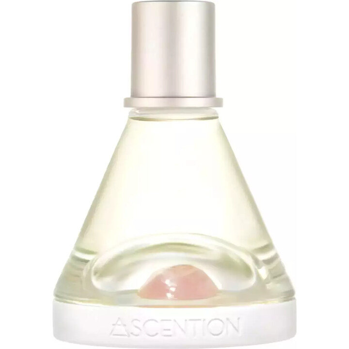 Ascent To Love