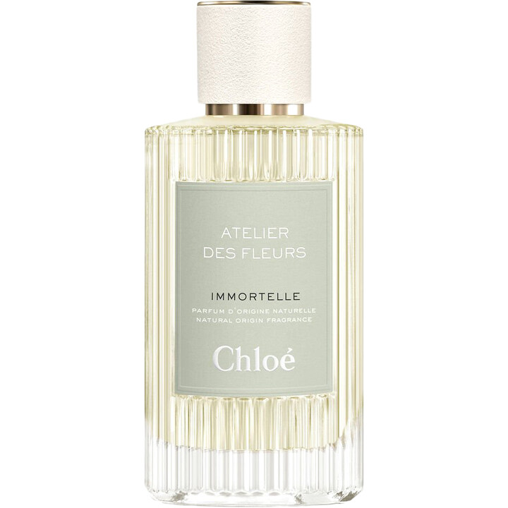 Atelier de Fleurs: Immortelle