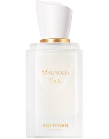 Magnolia Tree