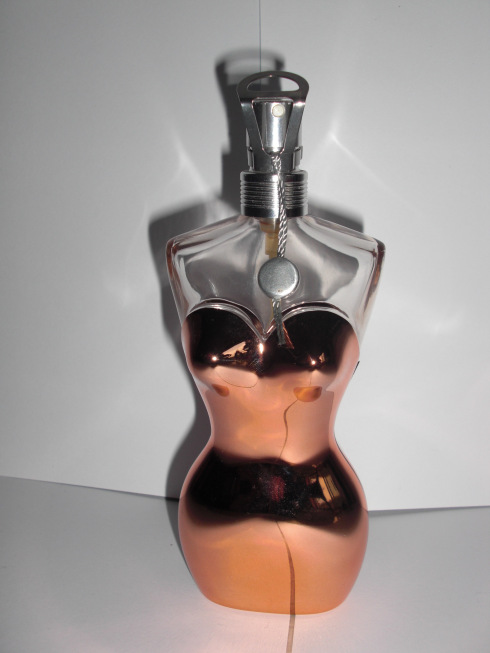 Classique The Copper Corset