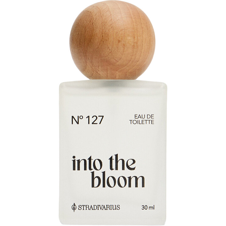 N° 127 Into the Bloom