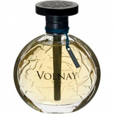 Brume d'Hiver (2013)