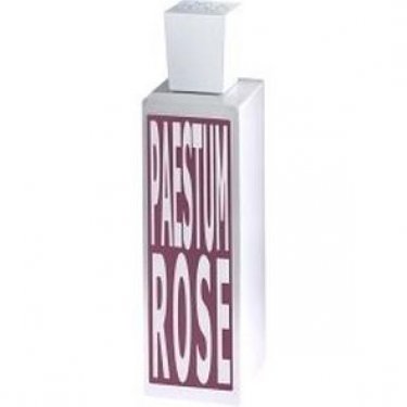 Paestum Rose