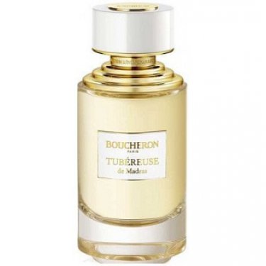 Tubéreuse de Madras