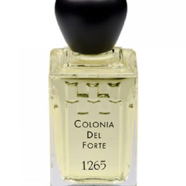 Colonia del Forte 1265