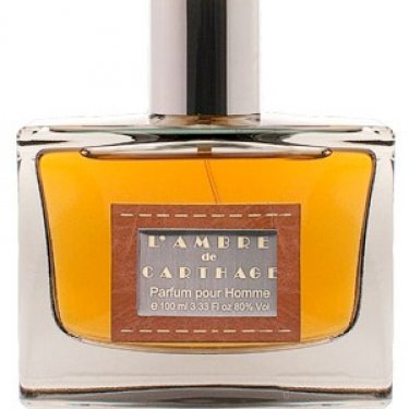 L'Ambre de Carthage (2011)
