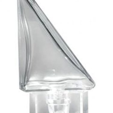 Surhomme Transparent