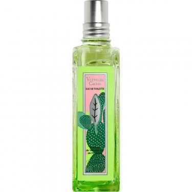 Verveine Cactus