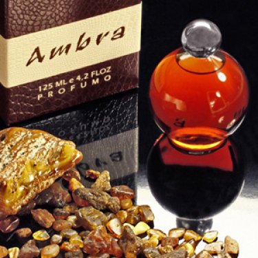 Ambra