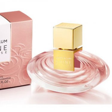 Shine My Rose