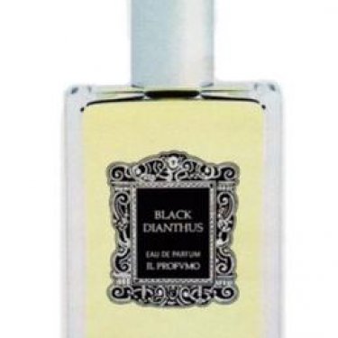 Black Dianthus