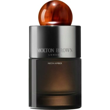 Neon Amber (Eau de Parfum)