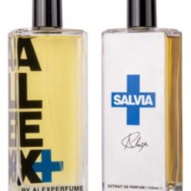 Salvia+