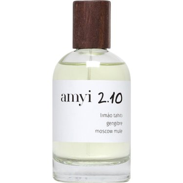 Amyi 2.10