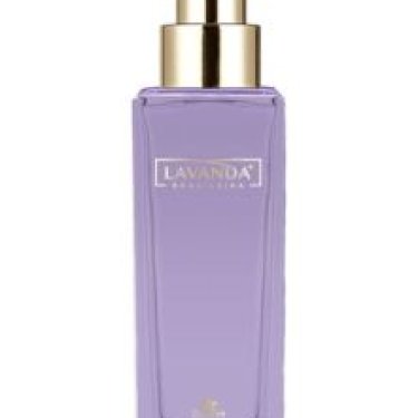 Lavanda Brasileira