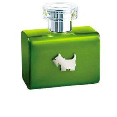 Terrier Be Green