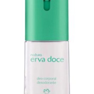 Erva Doce