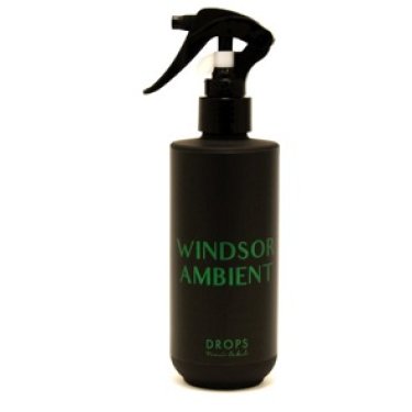 Windsor Ambient