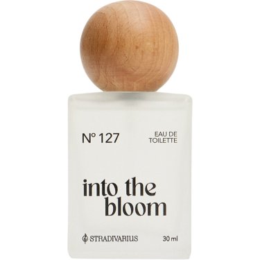 N° 127 Into the Bloom