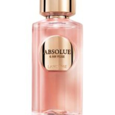 Absolue 6AM Rose
