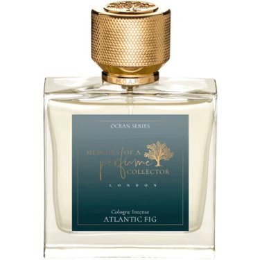 Atlantic Fig
