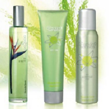 Sparkling Senses