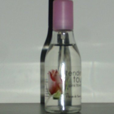 Petite Flower Collection: Tender Touch Pink Flower