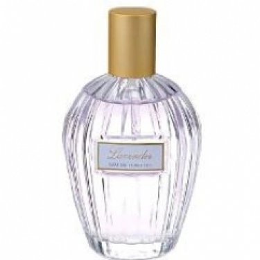 Floral Collection: Lavender / Lavandula Angustifolia