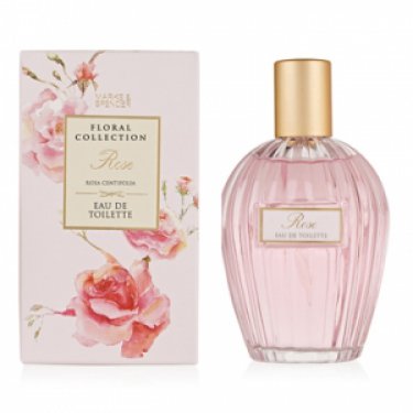 Floral Collection: Rose / Rosa Centifolia