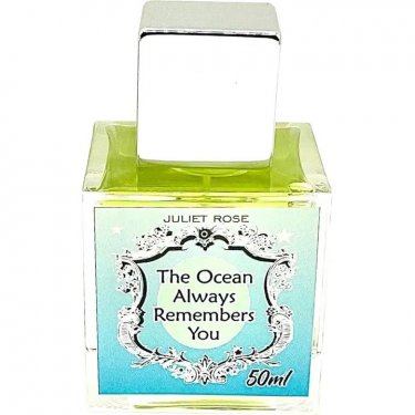 The Ocean Always Remembers You