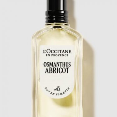 Osmanthus Abricot