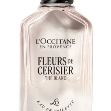Fleurs de Cerisier Thé Blanc