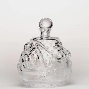 White Forest Elixir