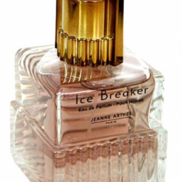 Ice Breaker pour Homme