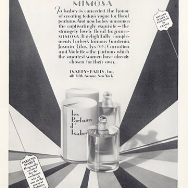 Le Mimosa
