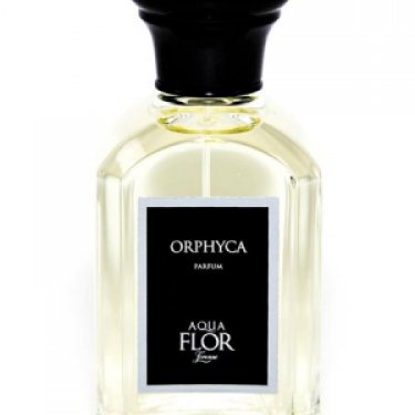 Orphyca