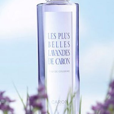 Les Plus Belles Lavandes de Caron